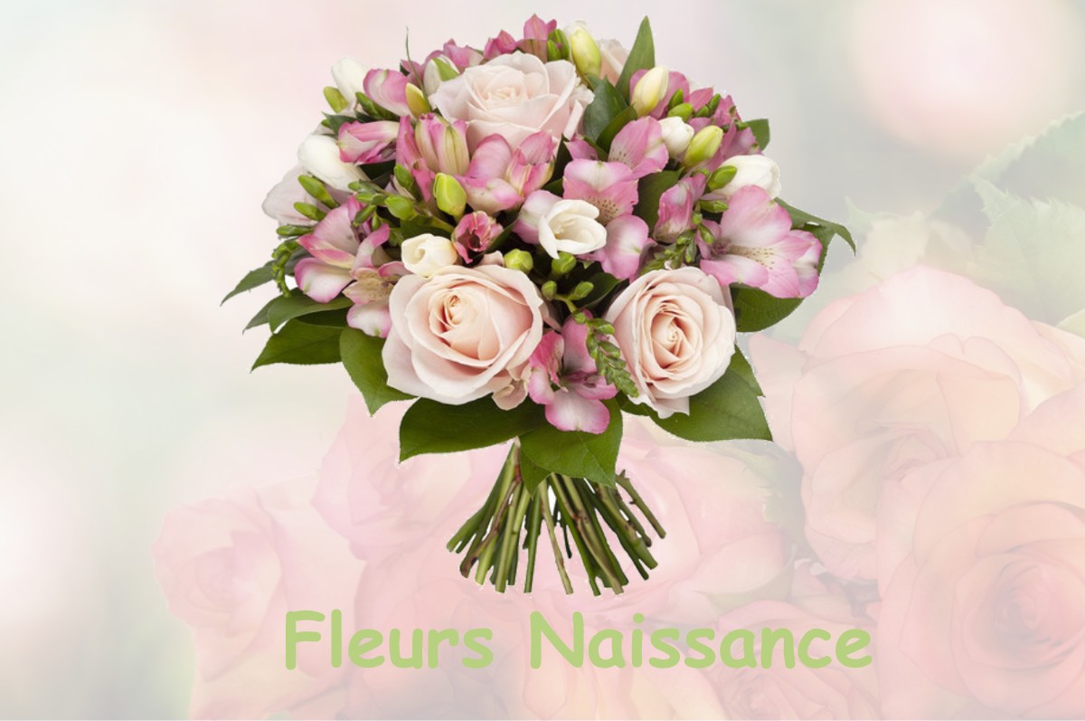 fleurs naissance DAMPARIS