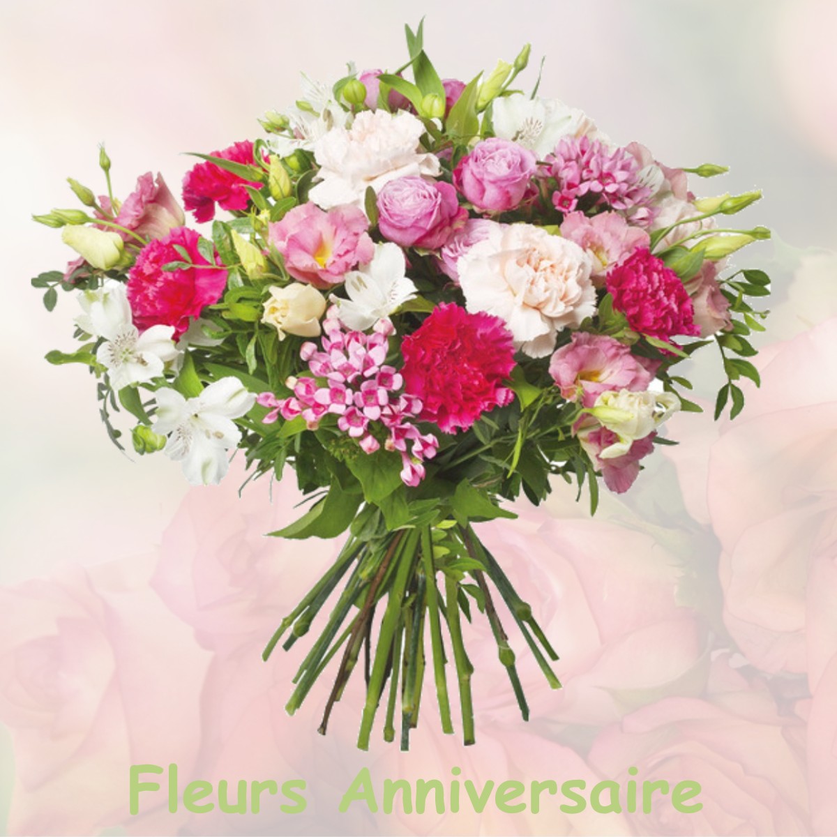 fleurs anniversaire DAMPARIS