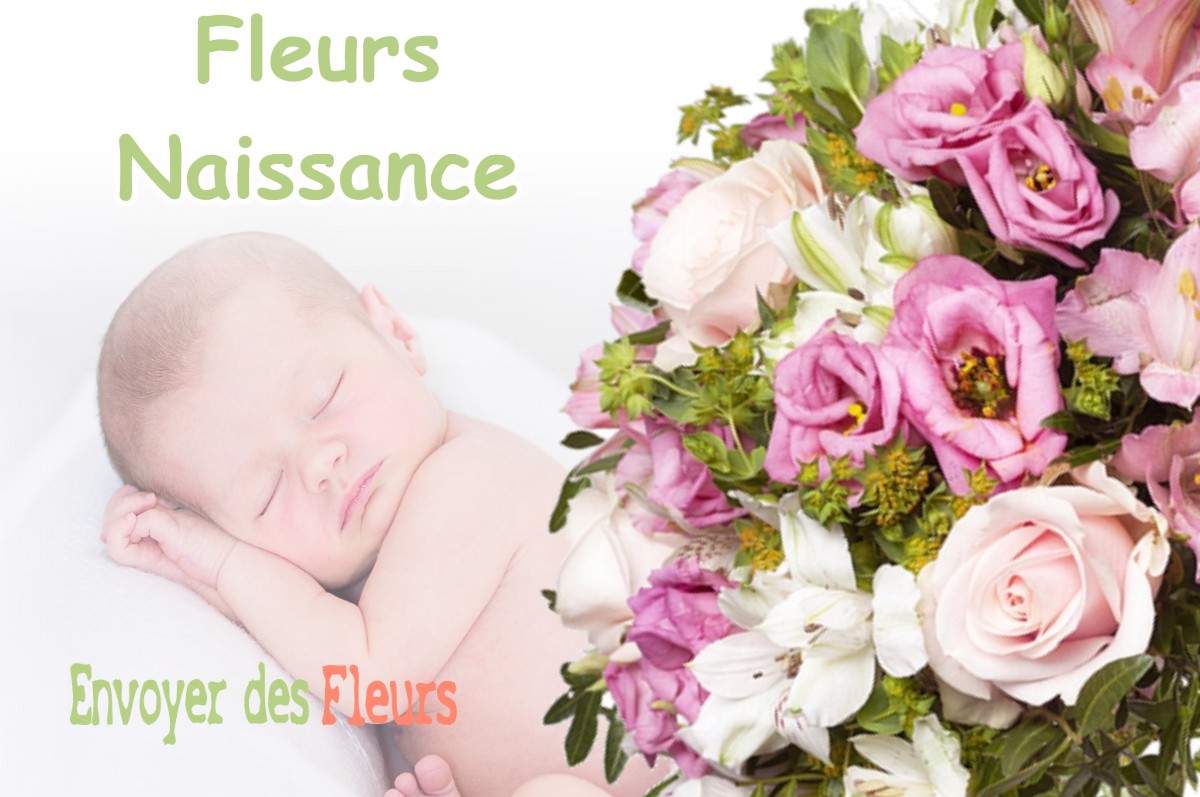 lIVRAISON FLEURS NAISSANCE à DAMPARIS